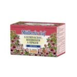Portioned herbal tea to strengthen immunity and increase the body's resistance to common infections.