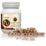 Cordyceps (Czech caterpillar) is one of the pillars of traditional Chinese medicine.