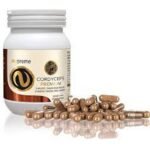 Reishi contributes to the improvement of the functions of the whole body system.