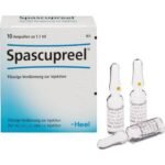 To the improvement of spasmodic conditions of the digestive organs.