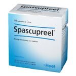 To the improvement of spasmodic conditions of the digestive organs.