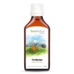 The basis of the tincture are Chinese mushrooms.