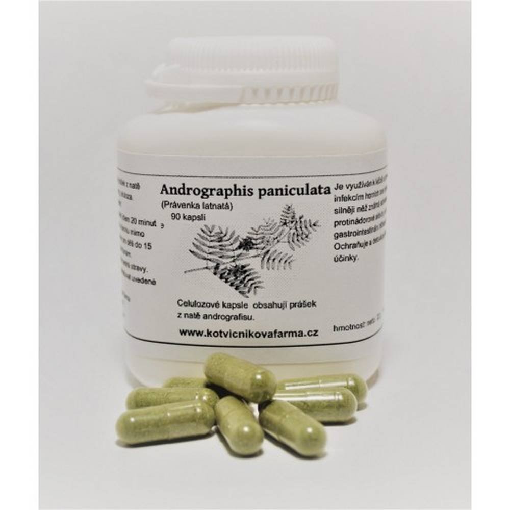 Андрографис метельчатый. Andrographis paniculata herba. Андрографис метельчатый +раздражает кишечник.