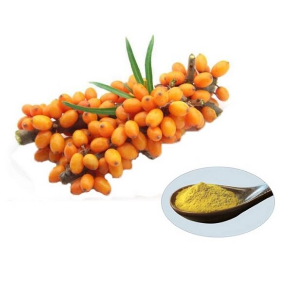 It has small sour and bitter berries of orange color (larger than blueberries)