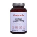 Concentrated cordyceps extract