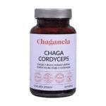 Concentrated cordyceps extract