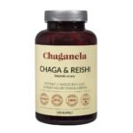 Combination of Chaga extract containing 44% polysaccharides and Reshi extract with 30% polysaccharides to support immunity
