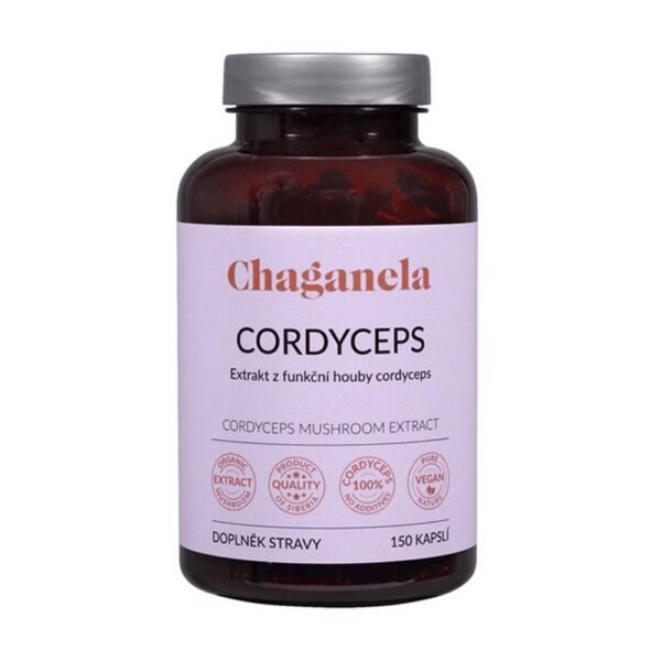 Concentrated cordyceps extract