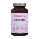 Concentrated cordyceps extract