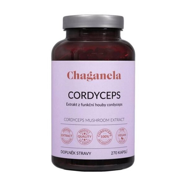 Concentrated cordyceps extract