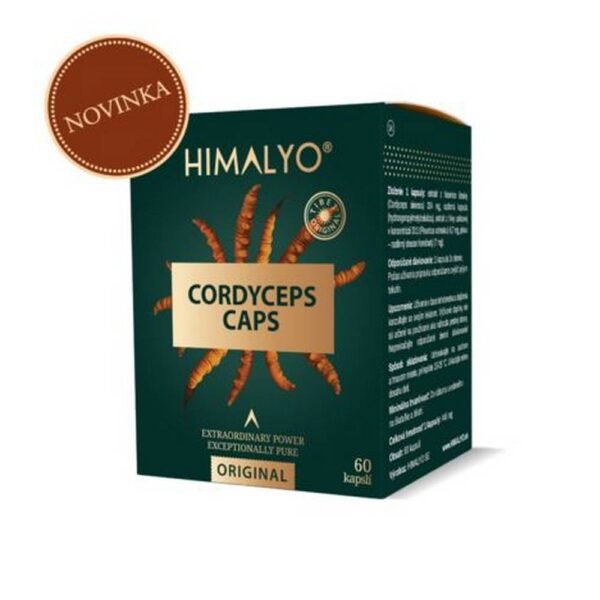 Dried extract of the fungus Cordyceps sinensis in plant capsules.