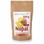 Nopal is a plant from the cactus family Opuntia.