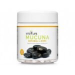 Mucuna pruriens is an ornamental creeper up to fifteen meters long with distinctive purple flowers