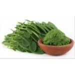 <p>Medicinal herbs</p>