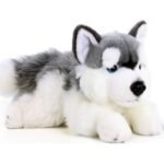 <p>Stuffed animals</p>