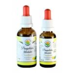 <p>Dandelion or cream</p>