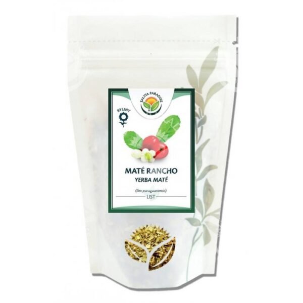 Green form of traditional South American herbal tea maté from Paraguay holly.