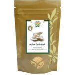 <p>Oyster mushroom is a very tasty mushroom</p>