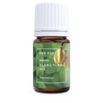 <p>Ylang Ylango Essential Oil / Aromatherapy Oil 10 ml, Dan Dur<br />Botanical name: Cananga odorata.<br />Main components: benzyl acetate<br />Destinations: Topical, Eczema, Distribution, Perfumery, Aromatherapy, Healthcare<br />Solubility: Let's dissolve in alcohol and oils.<br />Using Ylang Ylang Oil<br />Historically<br />Yellow ylang-ylang oil was used medicinally by French chemists in the early 20th century.<br />It has been used to treat many ailments such as intestinal infections, malaria, and typhoid.<br />Due to its relaxing properties, it has been used in the preparation of medicines that have a calming effect on anxiety and stress.</p>