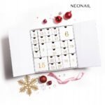 Great gift for Christmas