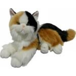 Great gift for Christmas