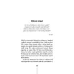 Allah's children, Allahovy deti, Robert Poch - Image 2