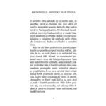 Истории Браунфилда, Jaroslav Tymich — изображение 2