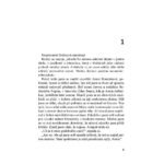 Cinnamon skin, Skoricova plet, John D. MacDonald - Image 2