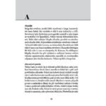 Коллекционный лексикон - Исторические патроны к оружию — изображение 2