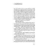 Prostitute and arab, Prostitútka a arab, Mirka Manáková - Image 2
