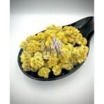 Everlasting Flowers Immortelle Herb 40g - Helichrysum Italicum