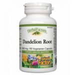 Поддержка функции печени и желчного пузыря – NATURAL FACTORS DANDELION ROOT For liver and gallbladder caps. 425mg,
