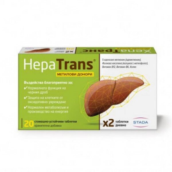 Нормализация функции печени – STADA HEPATRANS METHYL DONORS for normal liver function tablets,