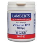 Fatigue and Low Energy Levels - Lamberts,Nerve Health Concerns - Lamberts,Mood and Cognitive Function - Lamberts,Anemia Prevention - Lamberts