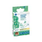 Provides relief from nasal congestion — Medisei Winter Herbs Vapor Patches,