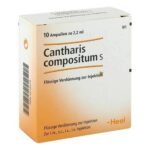 Indications for use: Cystitis, kidney inflammation (nephritis) .