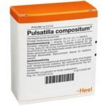 Heel, Пульсатилла, Pulsatilla Comp., 100