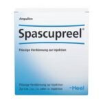 Improvement of cramp-like complaints of the digestive organs.