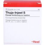 Heel, Туя, Thuja Injeele S, 10