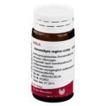 Aurum/Apis regina comp., Globuli velati – For depressive moods and nervous exhaustion