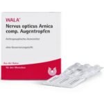 Anthroposophical Medicine
